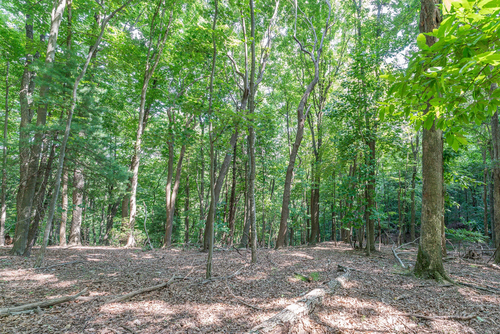 Lot 33 Windridge PKWY - Photo 9