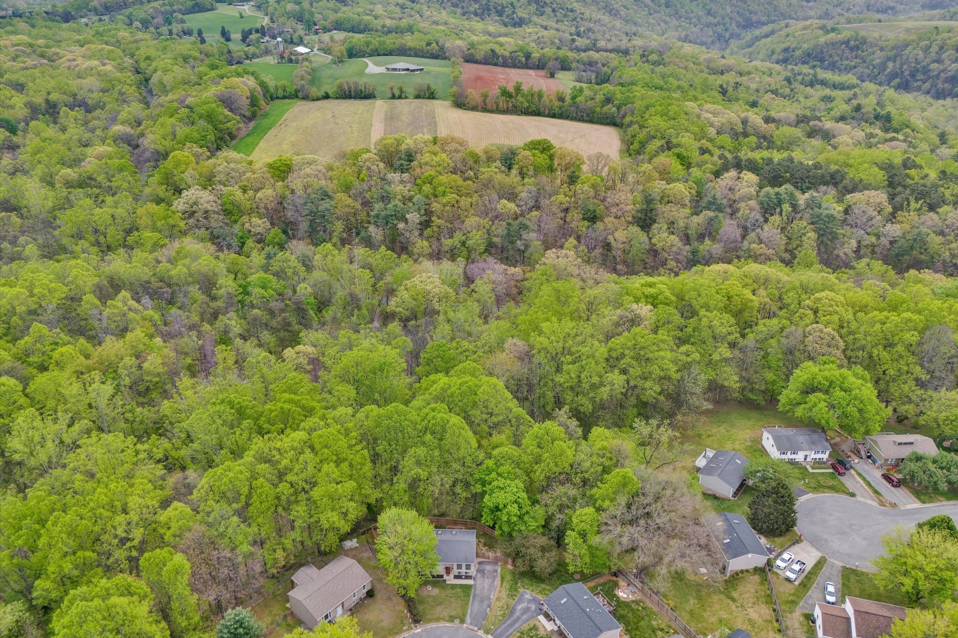 2176 Horn CIR - Photo 37