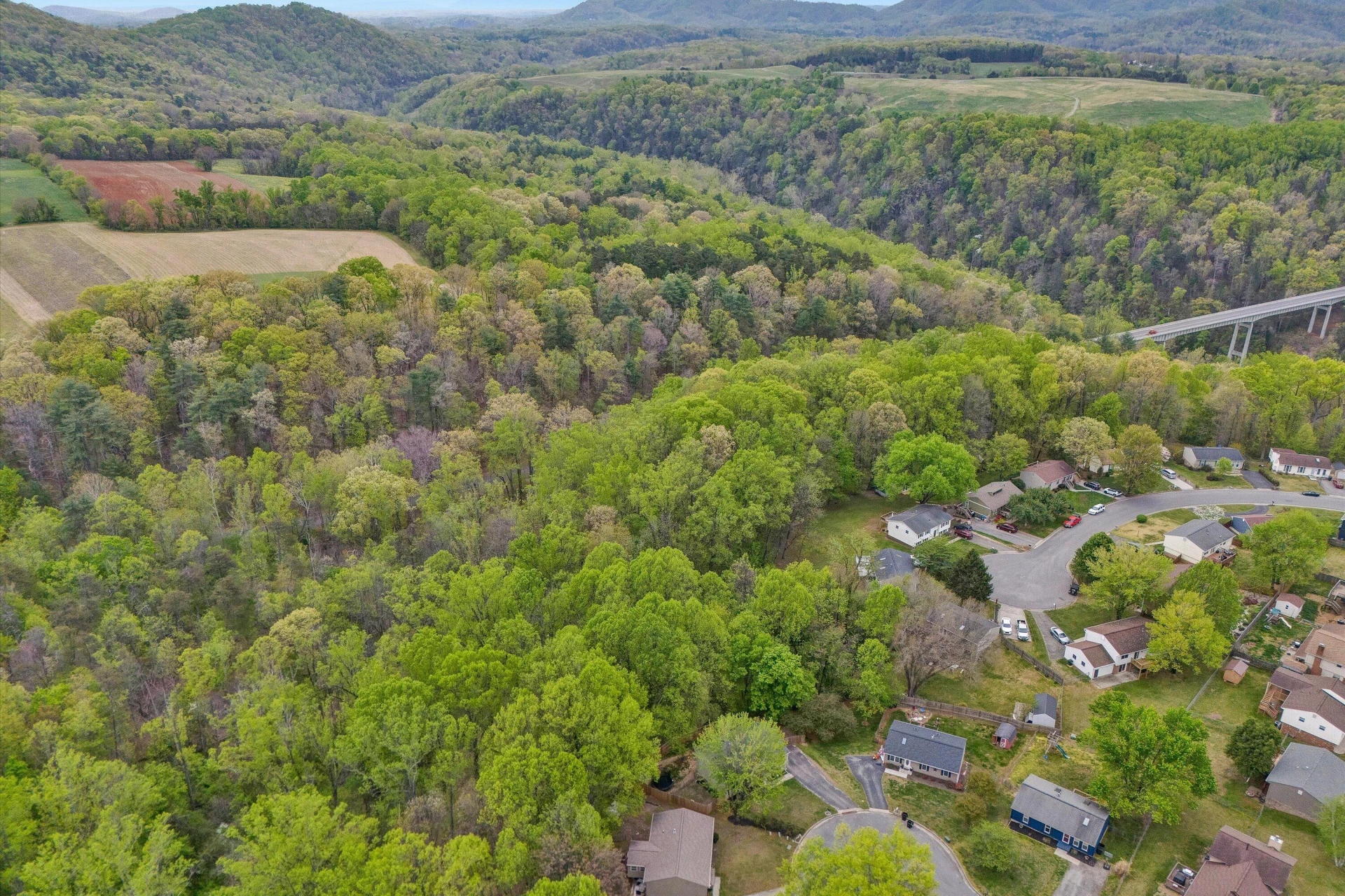 2176 Horn CIR - Photo 39
