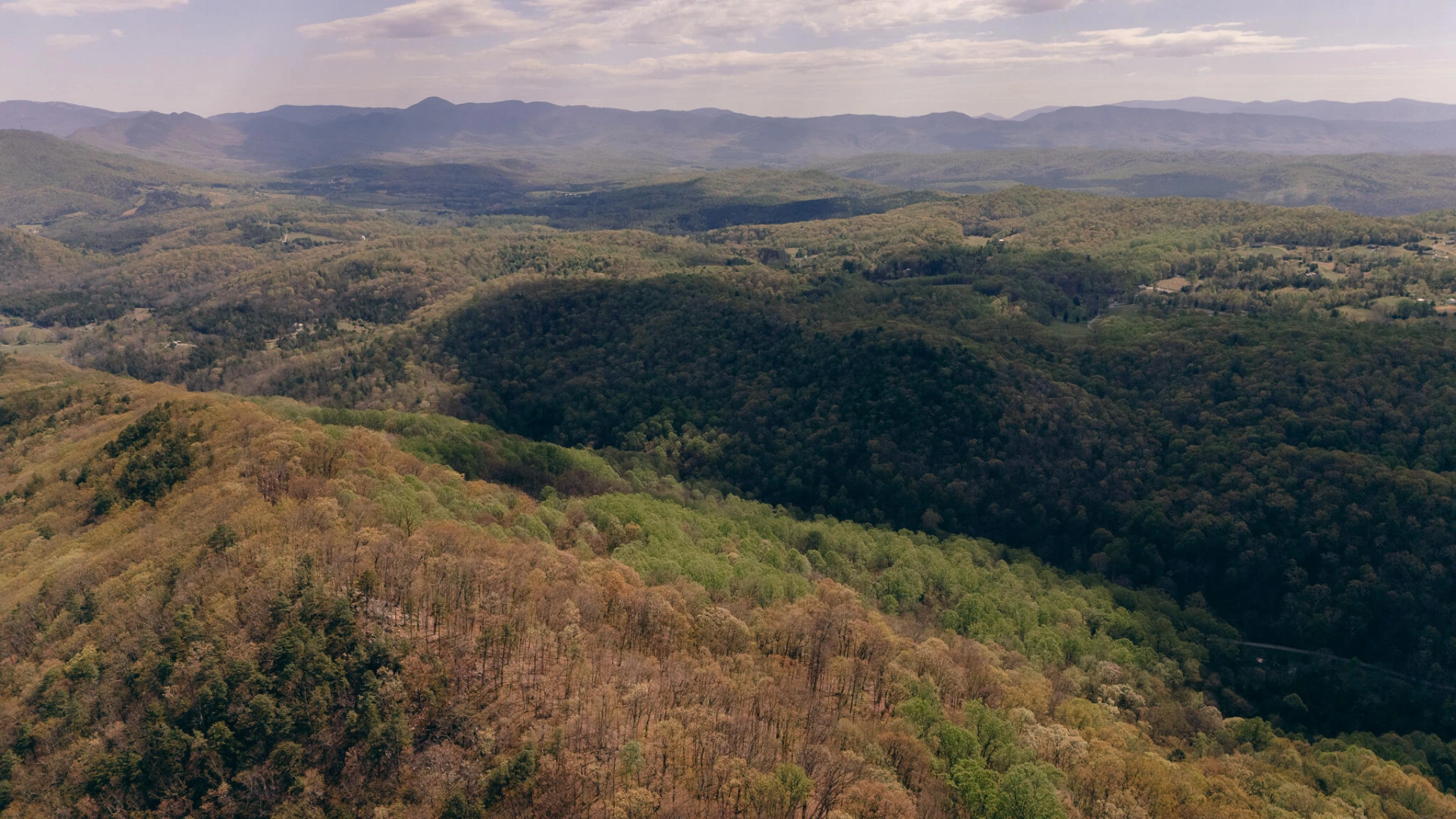 0 Sugar Tree Hollow RD - Photo 36