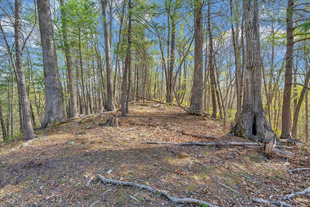 363 Ezra DR - Photo 65