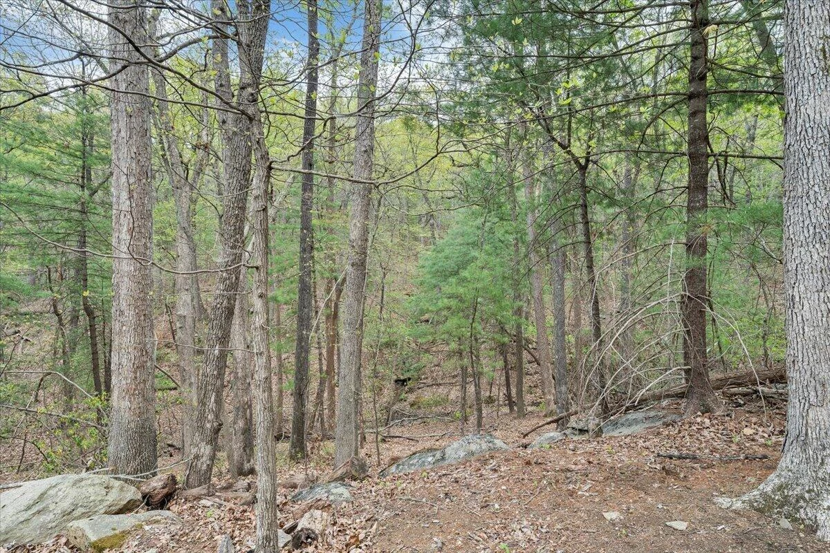 245 Timber Trail LN - Photo 37
