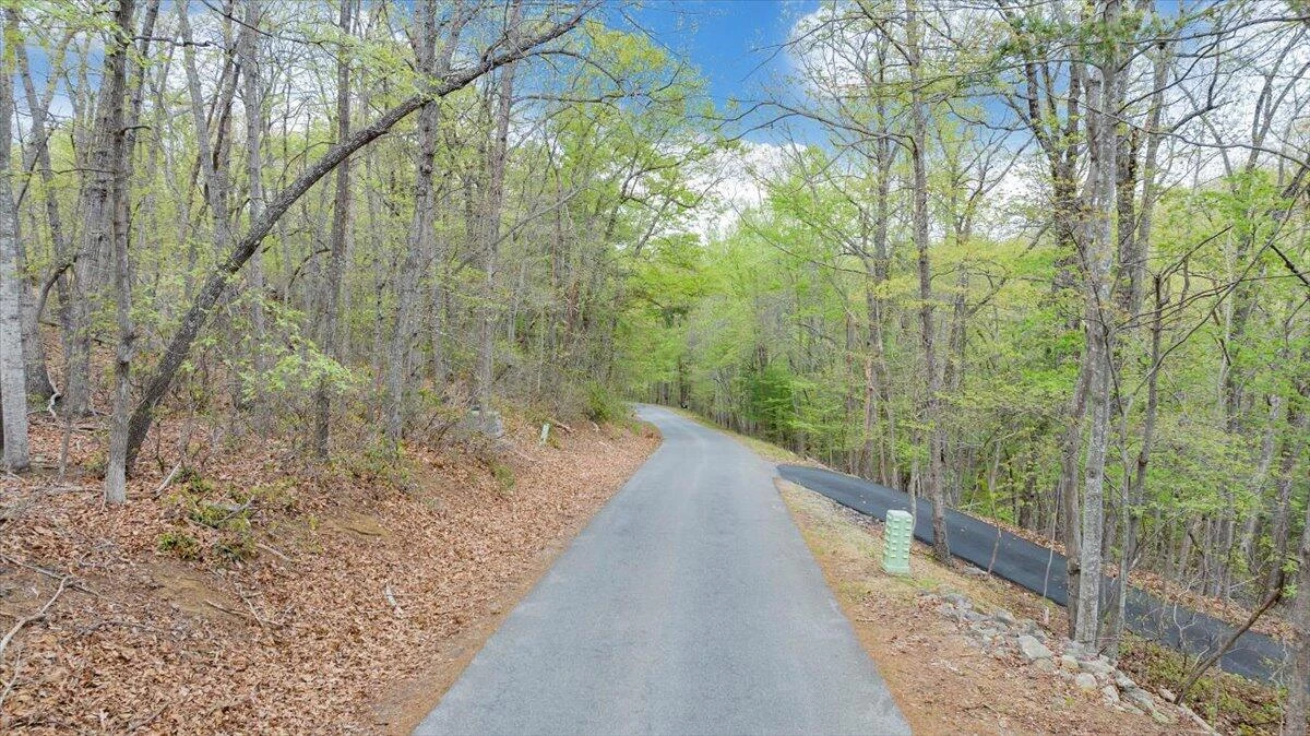 245 Timber Trail LN - Photo 41