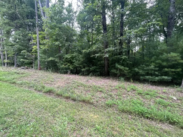 0 Storey Creek LN