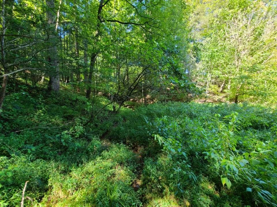 Lot 14 Hickory PL - Photo 20