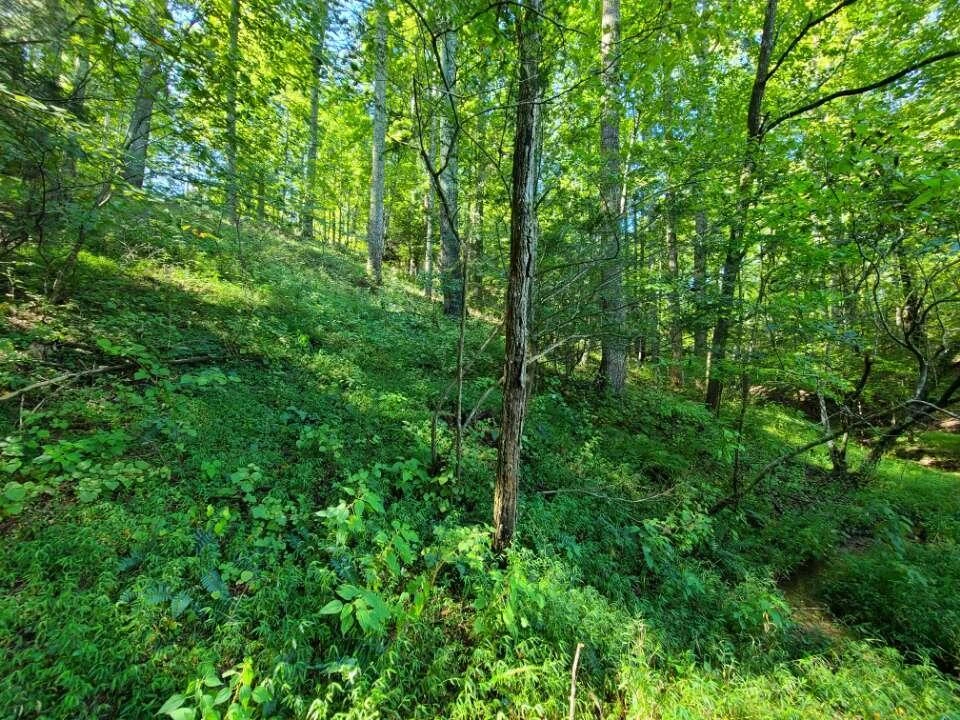 Lot 14 Hickory PL - Photo 31