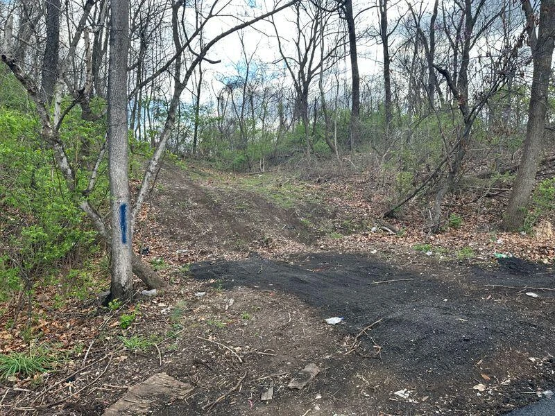 0 Manning RD - Photo 2