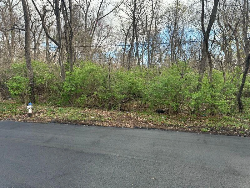 0 Manning RD - Photo 3