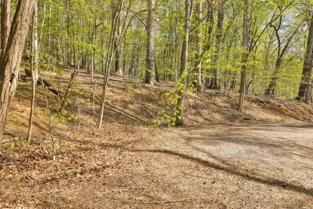 Lot 43 Old Barn RD, Moneta, VA, 24121