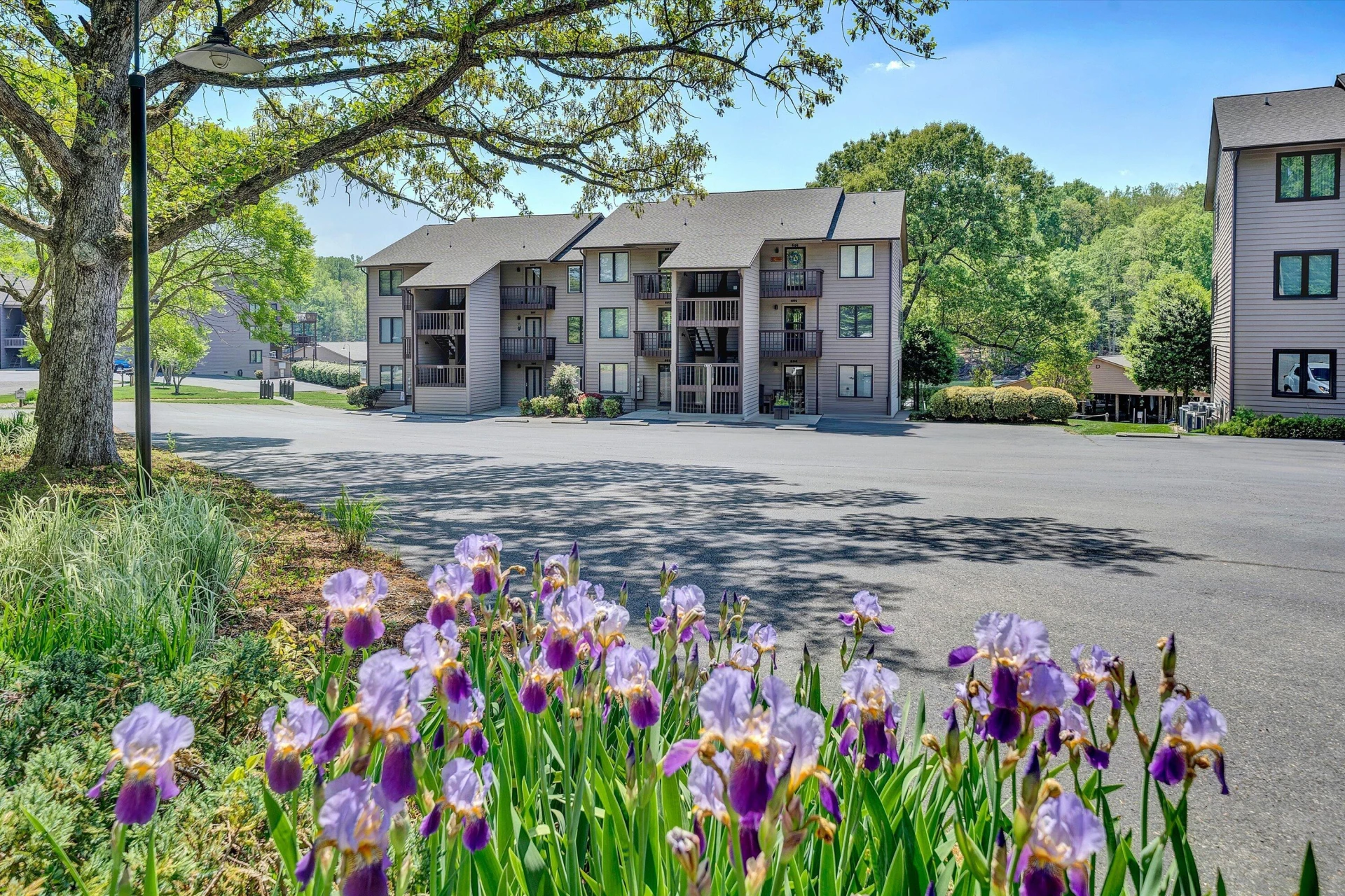 620 Montevista RD ## 605 - Photo 40