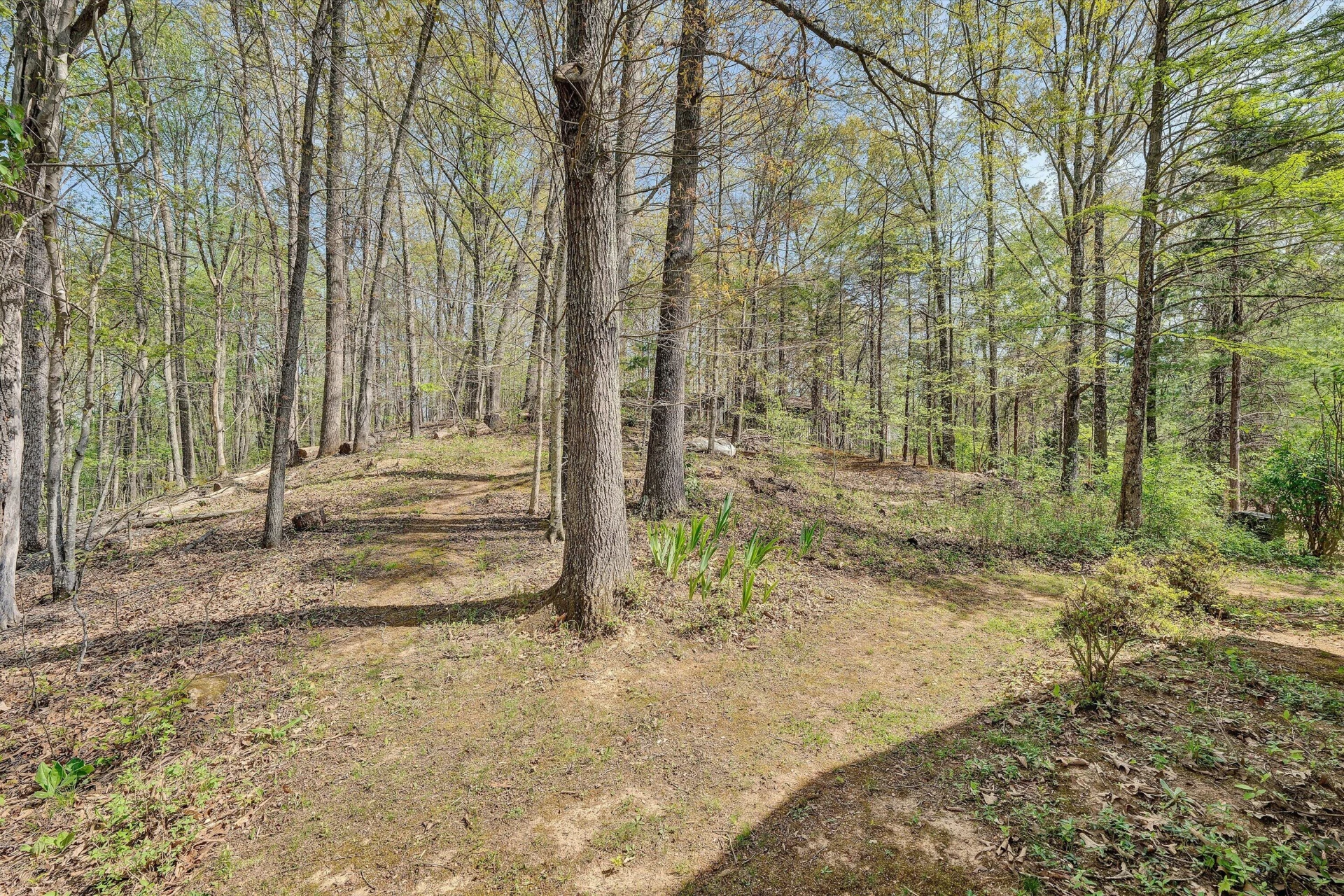 1124 Old Hollow RD - Photo 42