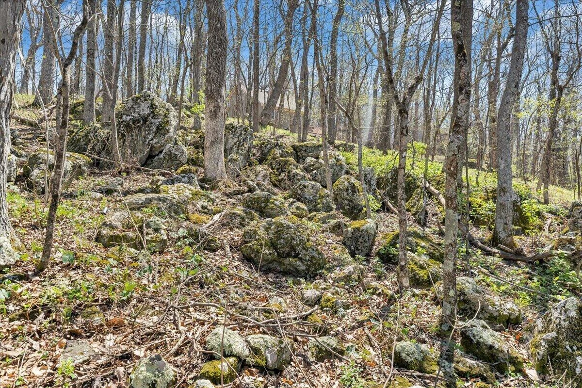 115 Hemlock DR - Photo 67