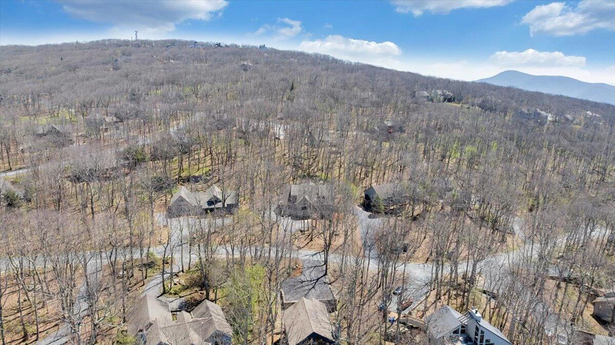 115 Hemlock DR - Photo 88