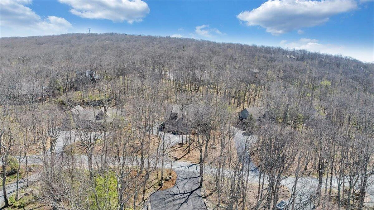 115 Hemlock DR - Photo 89