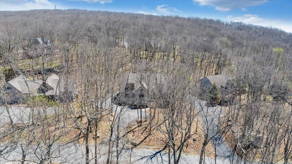 115 Hemlock DR - Photo 90