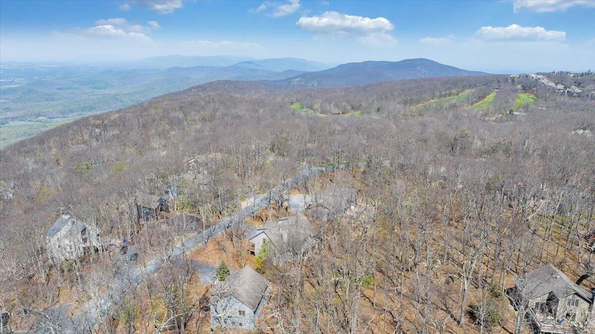 115 Hemlock DR - Photo 102