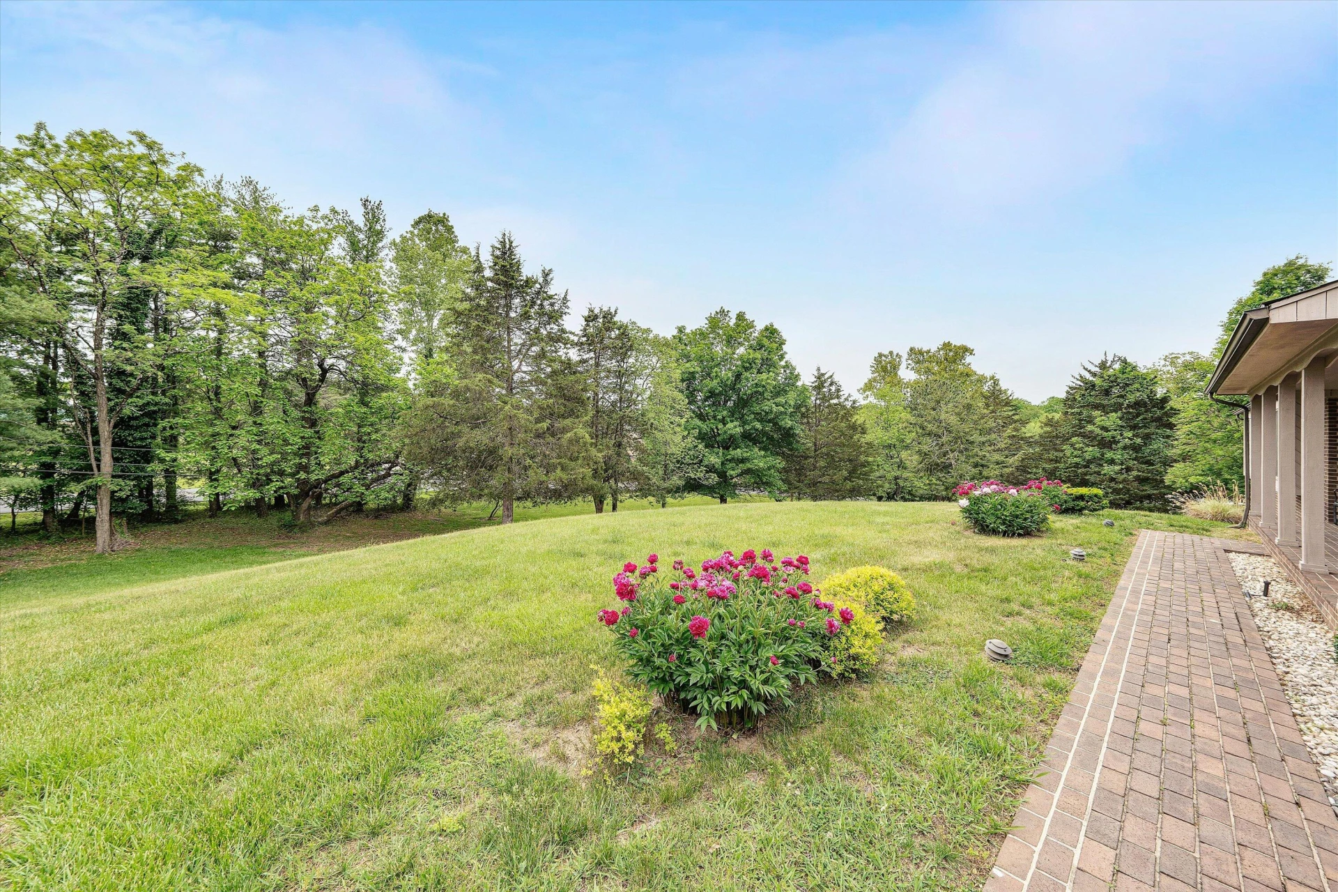 7913 Olsen RD - Photo 7