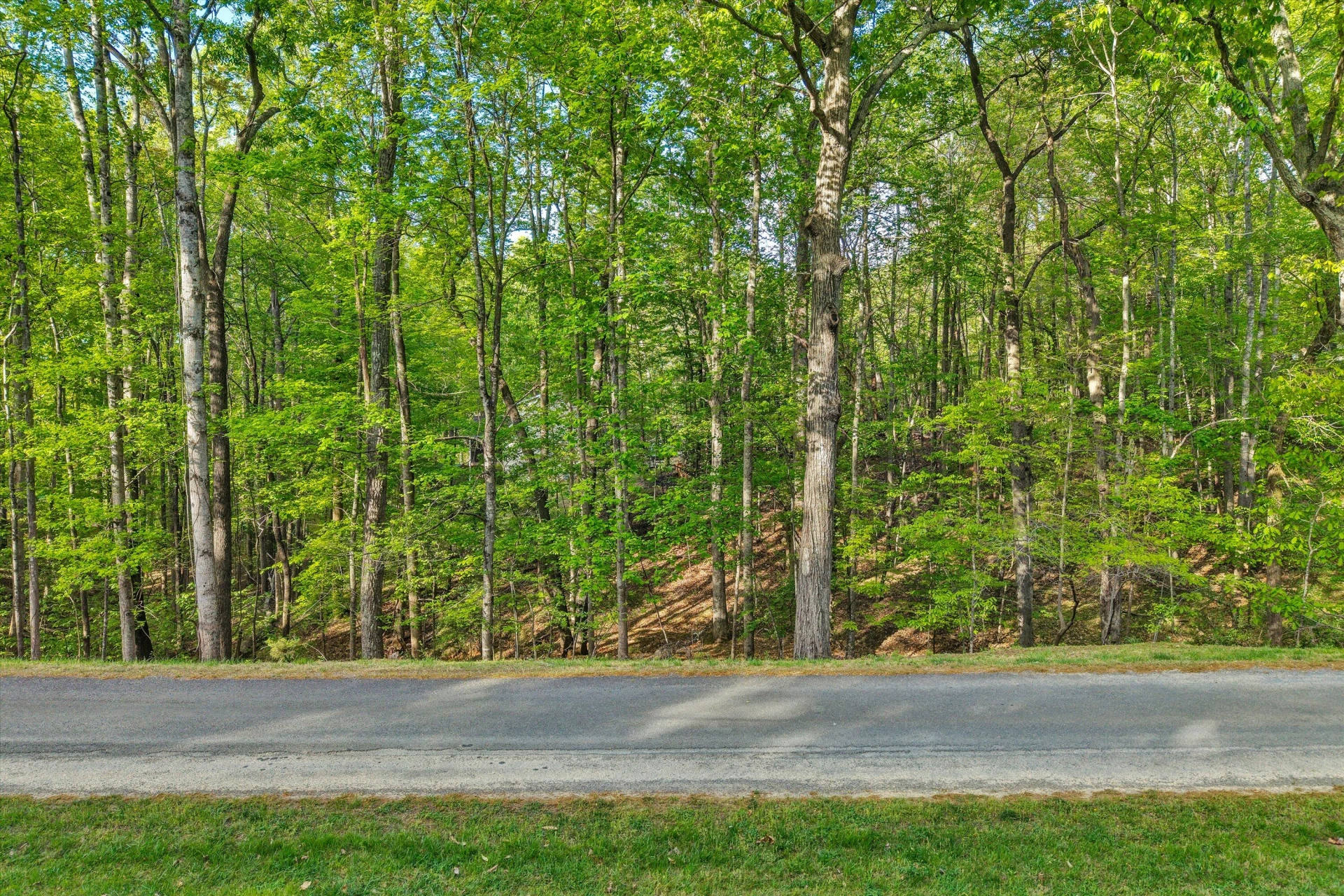 Lot 24 Stripers CT - Photo 5