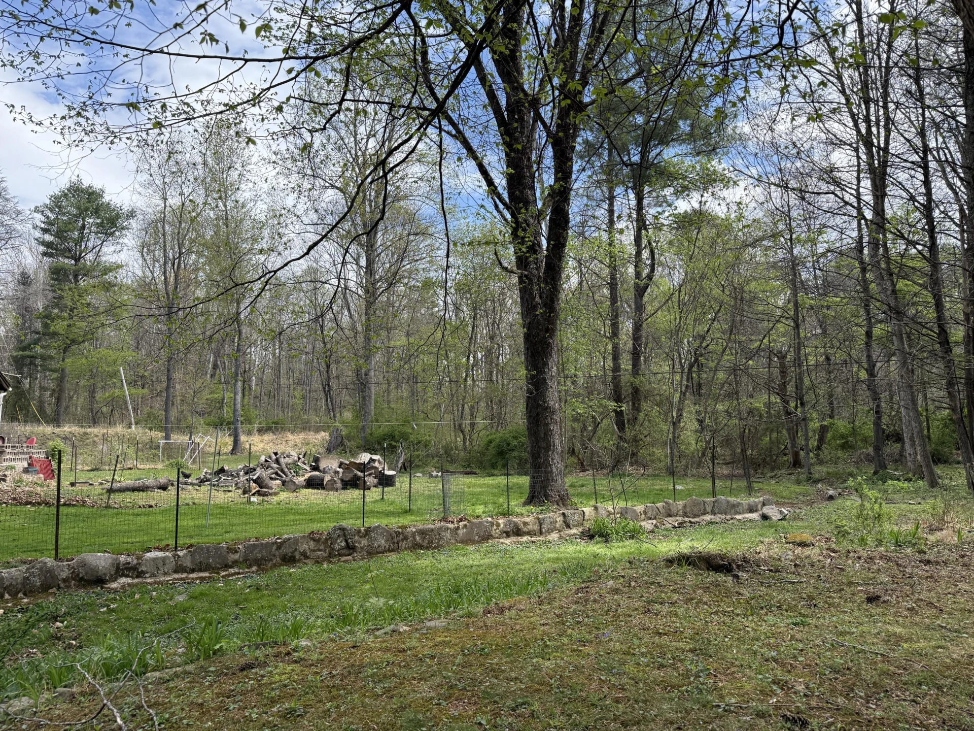 62 Leverock LN - Photo 18