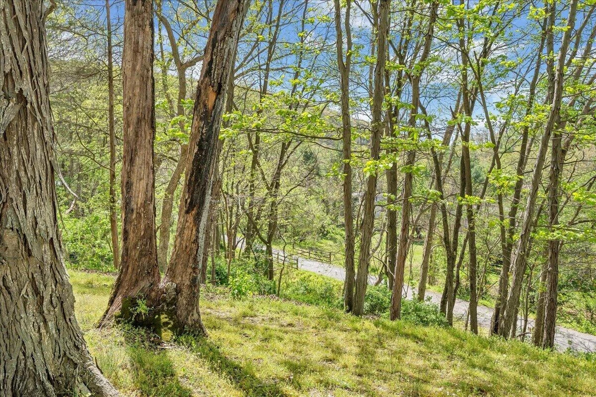 310 Sammys RD - Photo 39