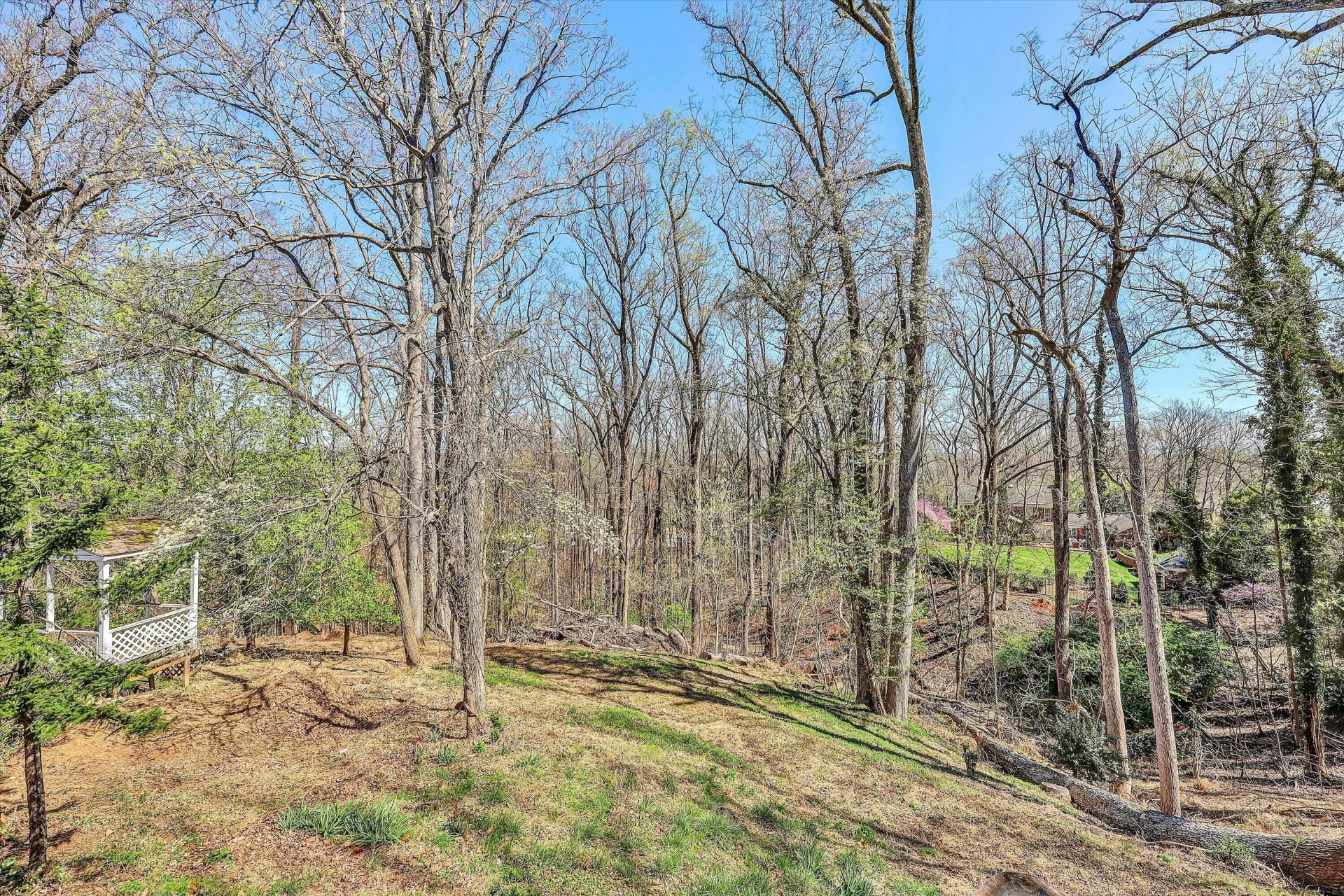 925 Mulberry RD - Photo 39