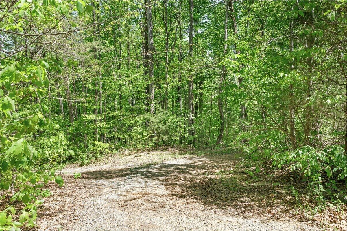 1512 Snow Creek RD - Photo 8