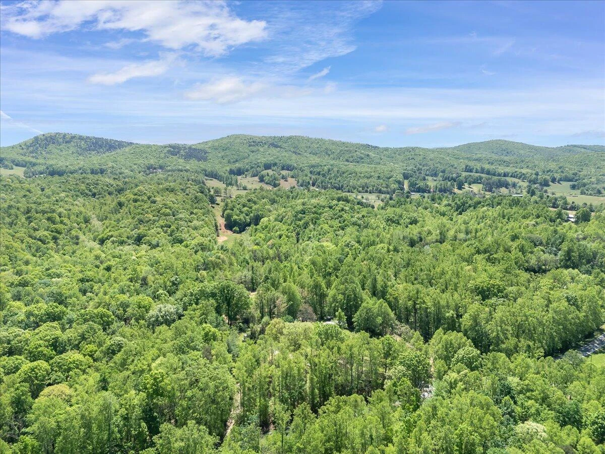 1512 Snow Creek RD - Photo 9