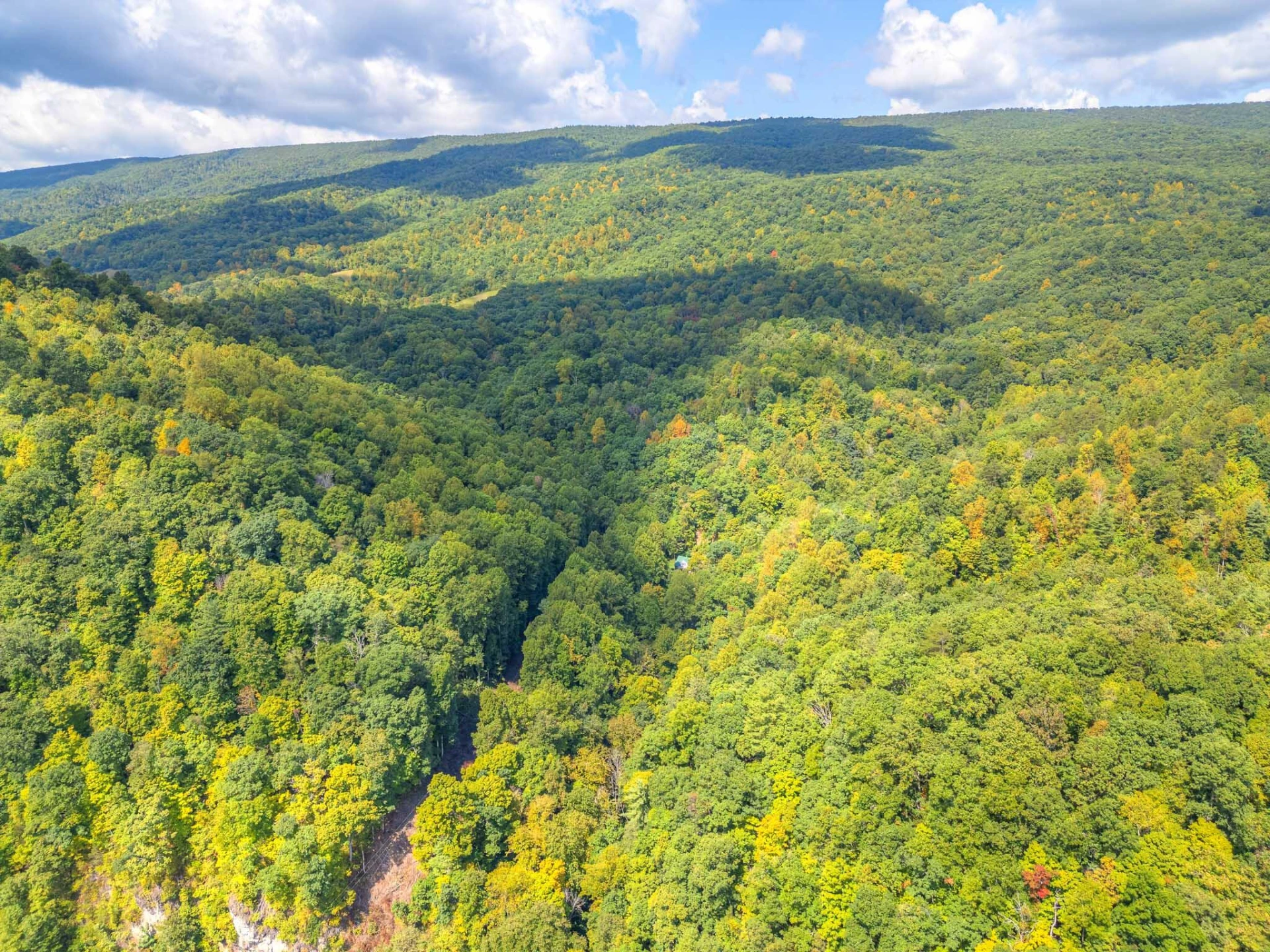 1782 Wolf Creek RD - Photo 98