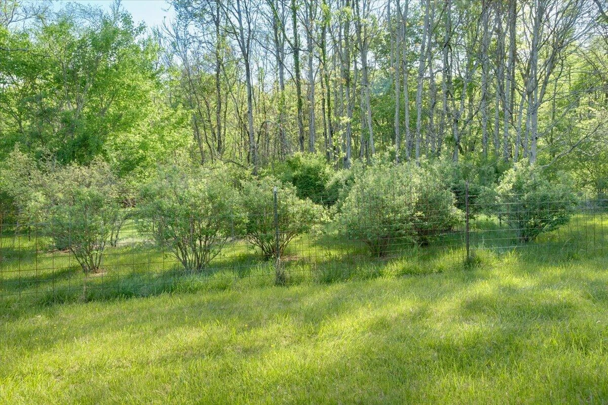 4133 Grove Hill RD - Photo 50