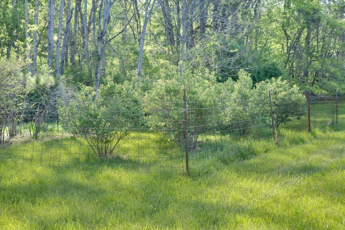 4133 Grove Hill RD - Photo 51