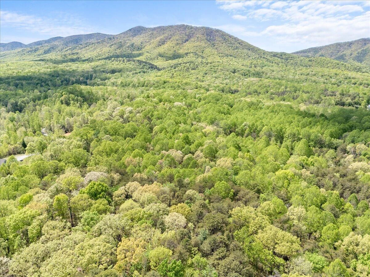 4133 Grove Hill RD - Photo 64