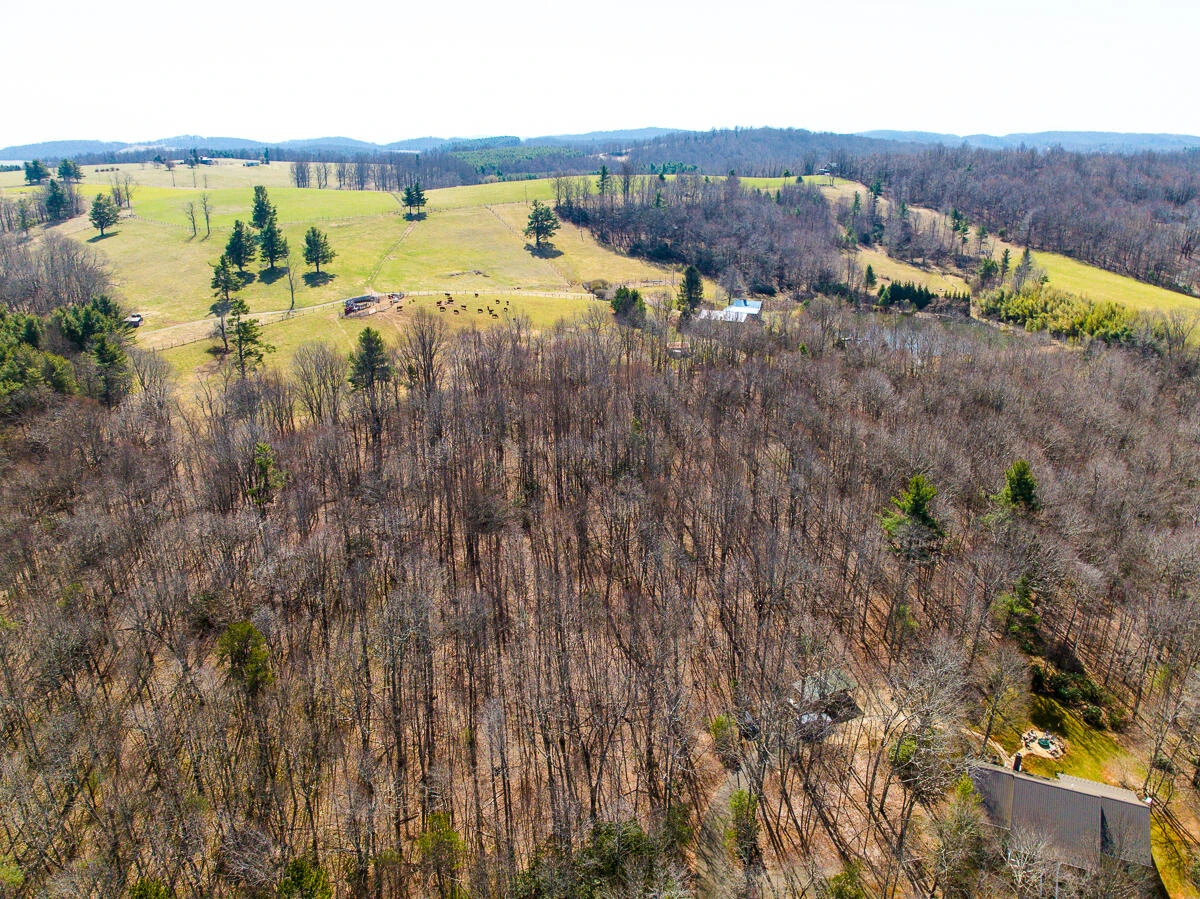 311 Dan River RD - Photo 25