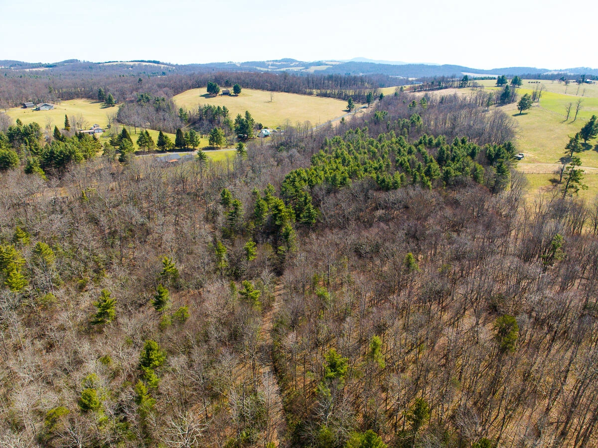 311 Dan River RD - Photo 27