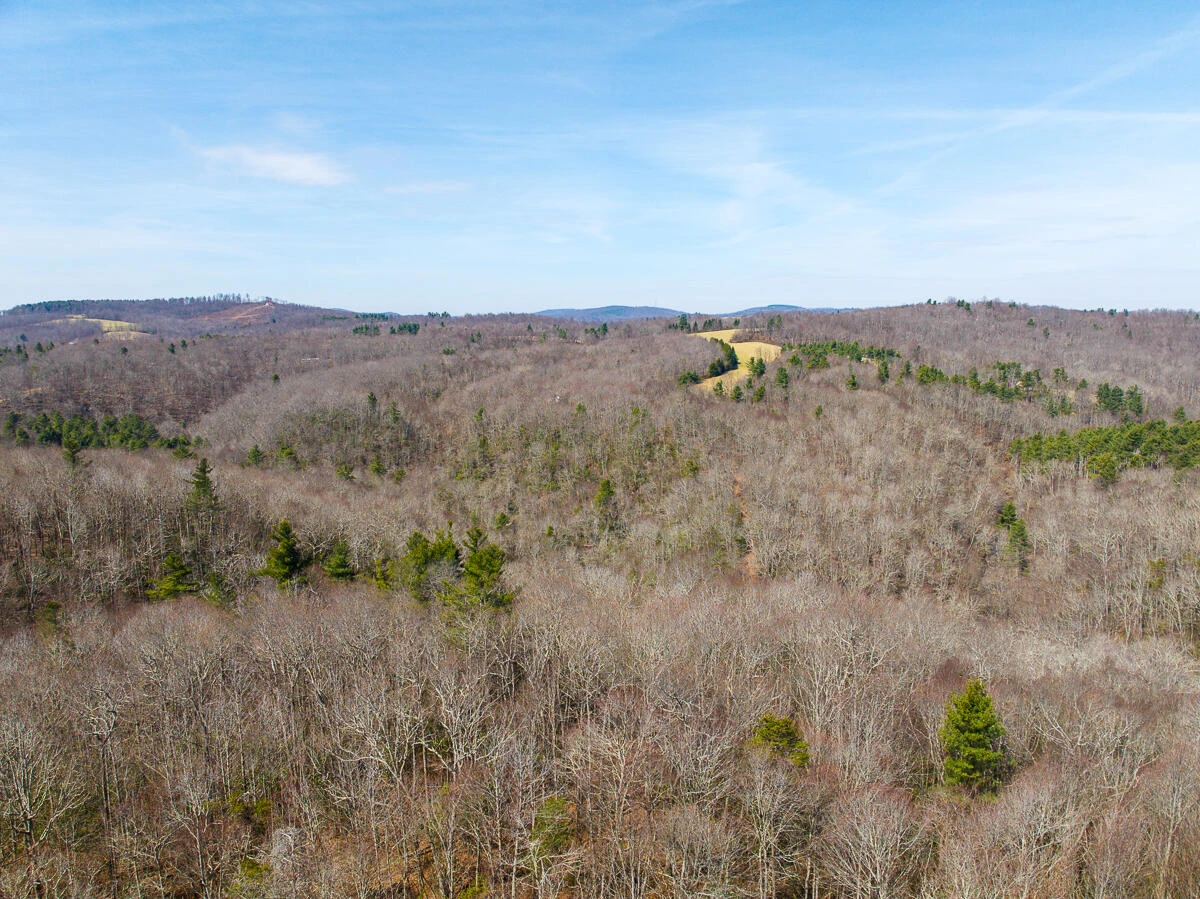 311 Dan River RD - Photo 28
