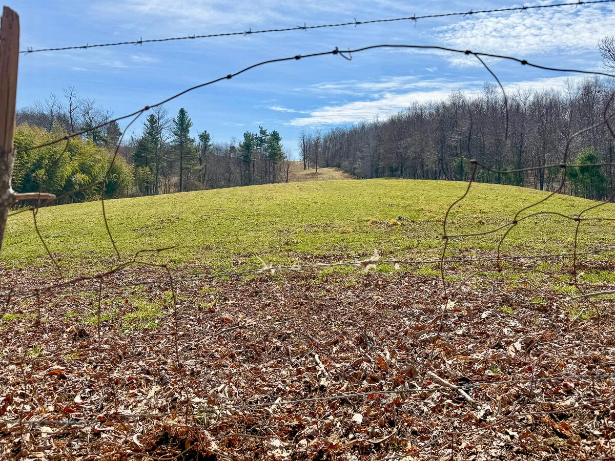 311 Dan River RD - Photo 35