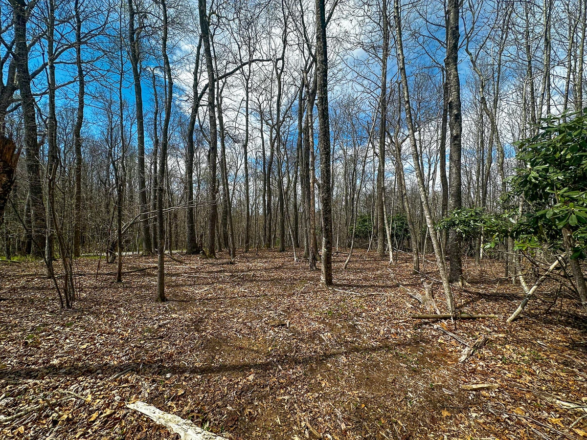 311 Dan River RD - Photo 37