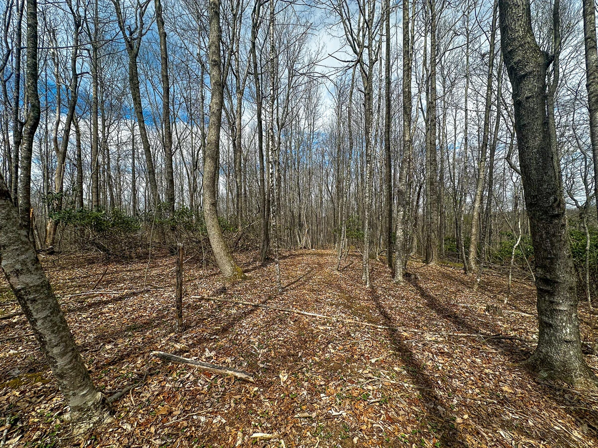 311 Dan River RD - Photo 38