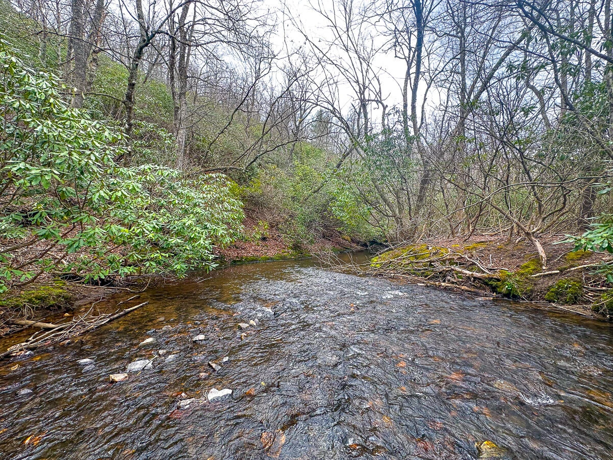 311 Dan River RD - Photo 4