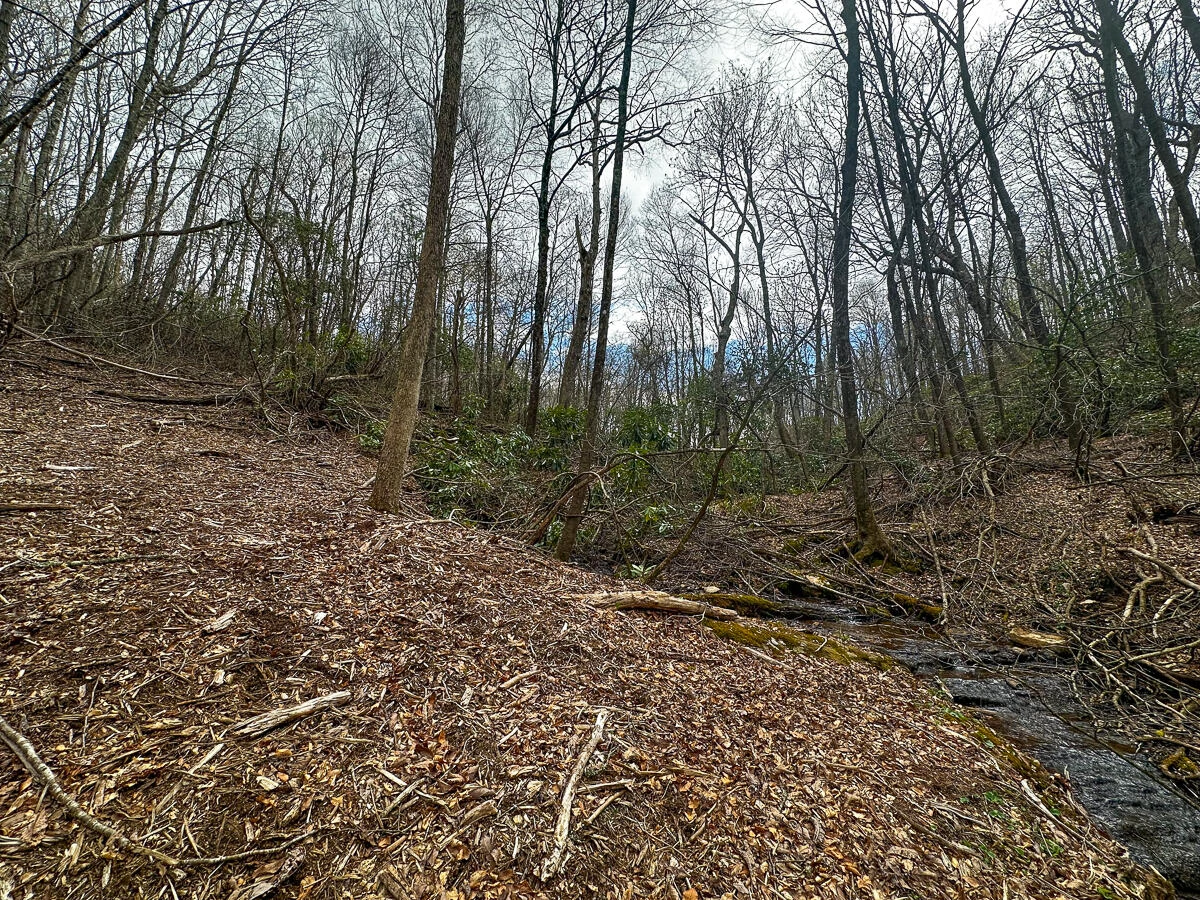 311 Dan River RD - Photo 40
