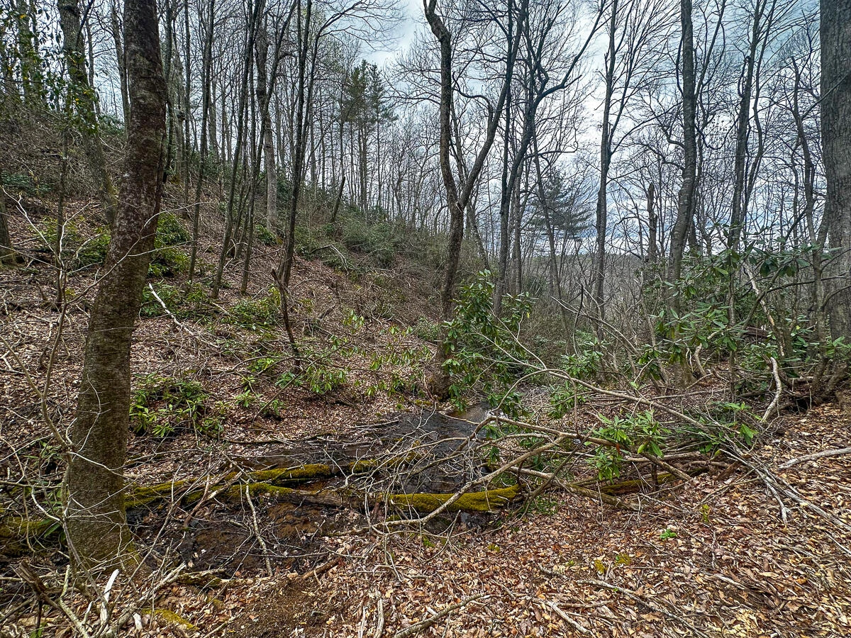 311 Dan River RD - Photo 41