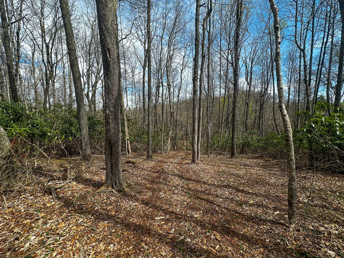 311 Dan River RD - Photo 49