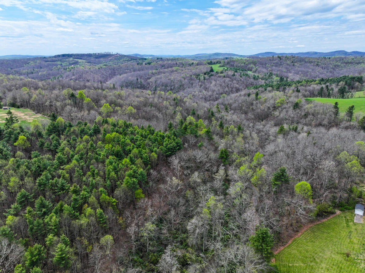 311 Dan River RD - Photo 5