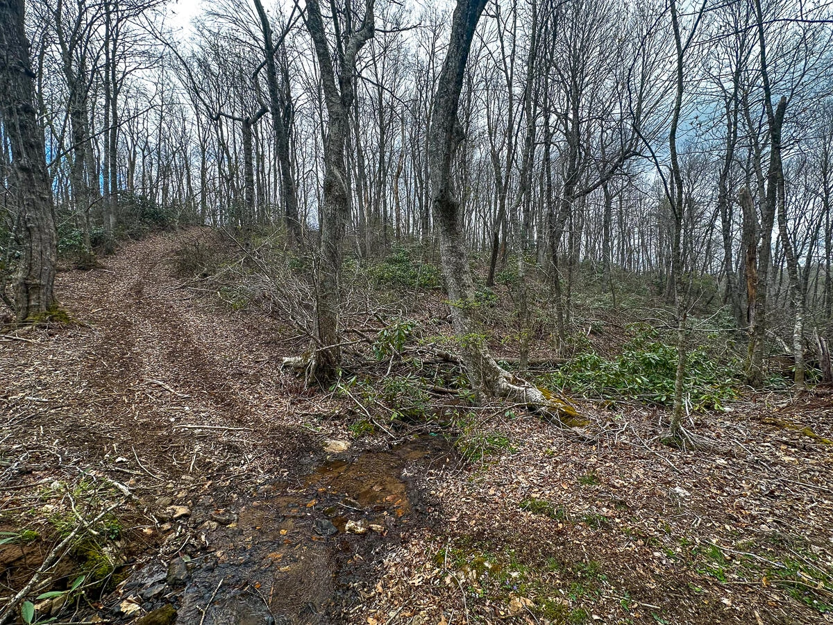 311 Dan River RD - Photo 51