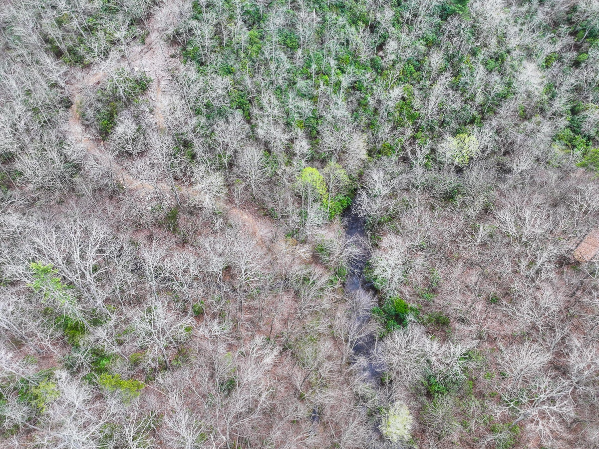 311 Dan River RD - Photo 56