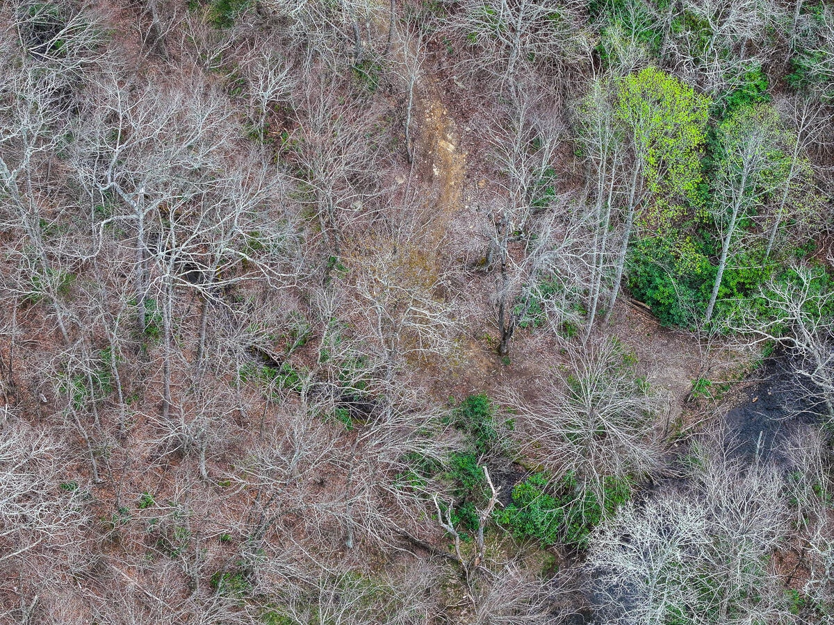 311 Dan River RD - Photo 57