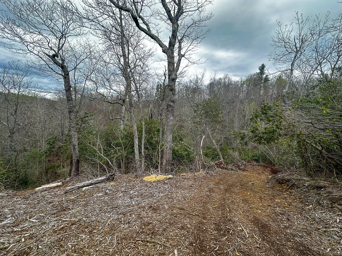 311 Dan River RD - Photo 58