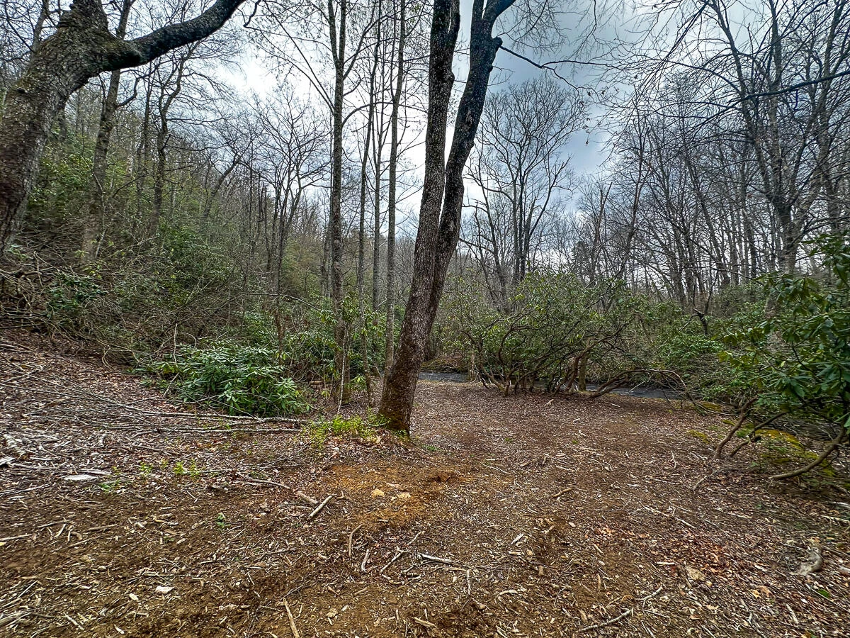 311 Dan River RD - Photo 59
