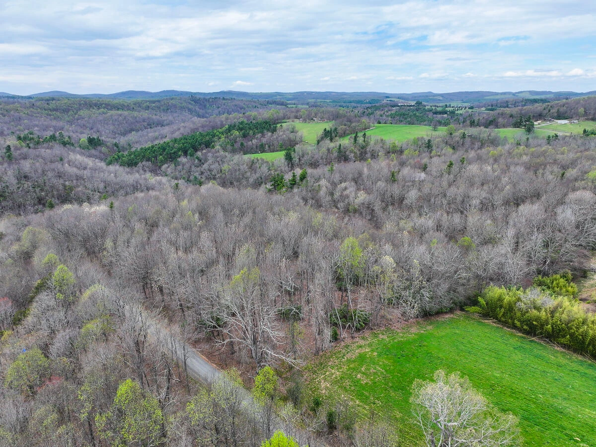 311 Dan River RD - Photo 6