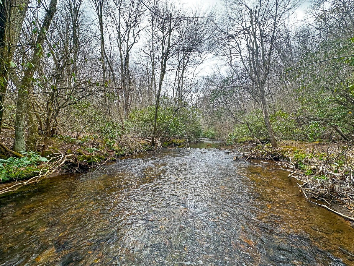 311 Dan River RD - Photo 60