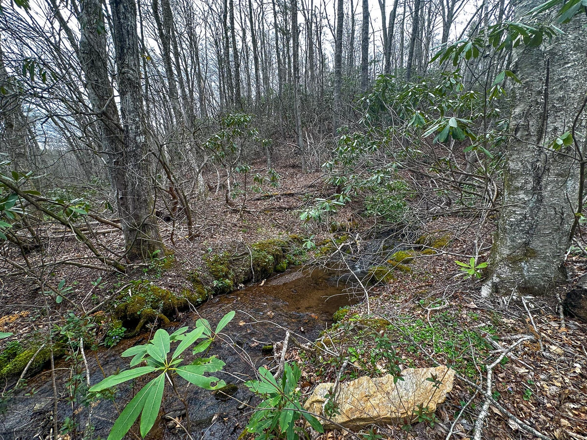 311 Dan River RD - Photo 62